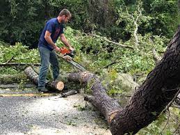 Mulching Services in Carmel By The Sea, CA